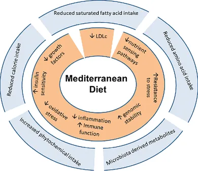 Mediterranean Diet and Disease Prevention